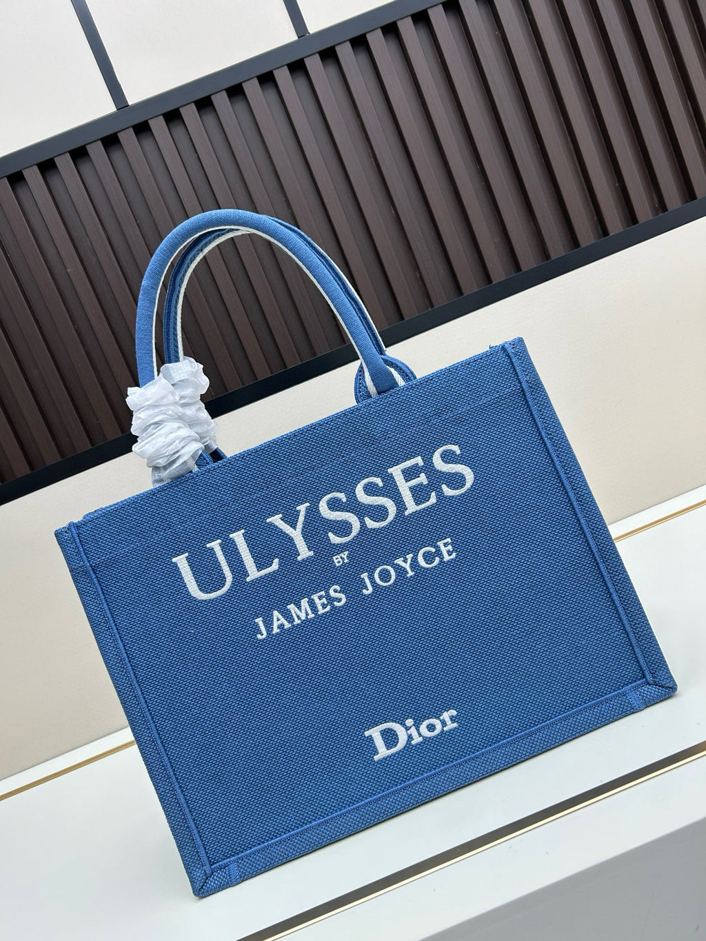 Dior Book Tote – Embroidered Luxury Tote Bag