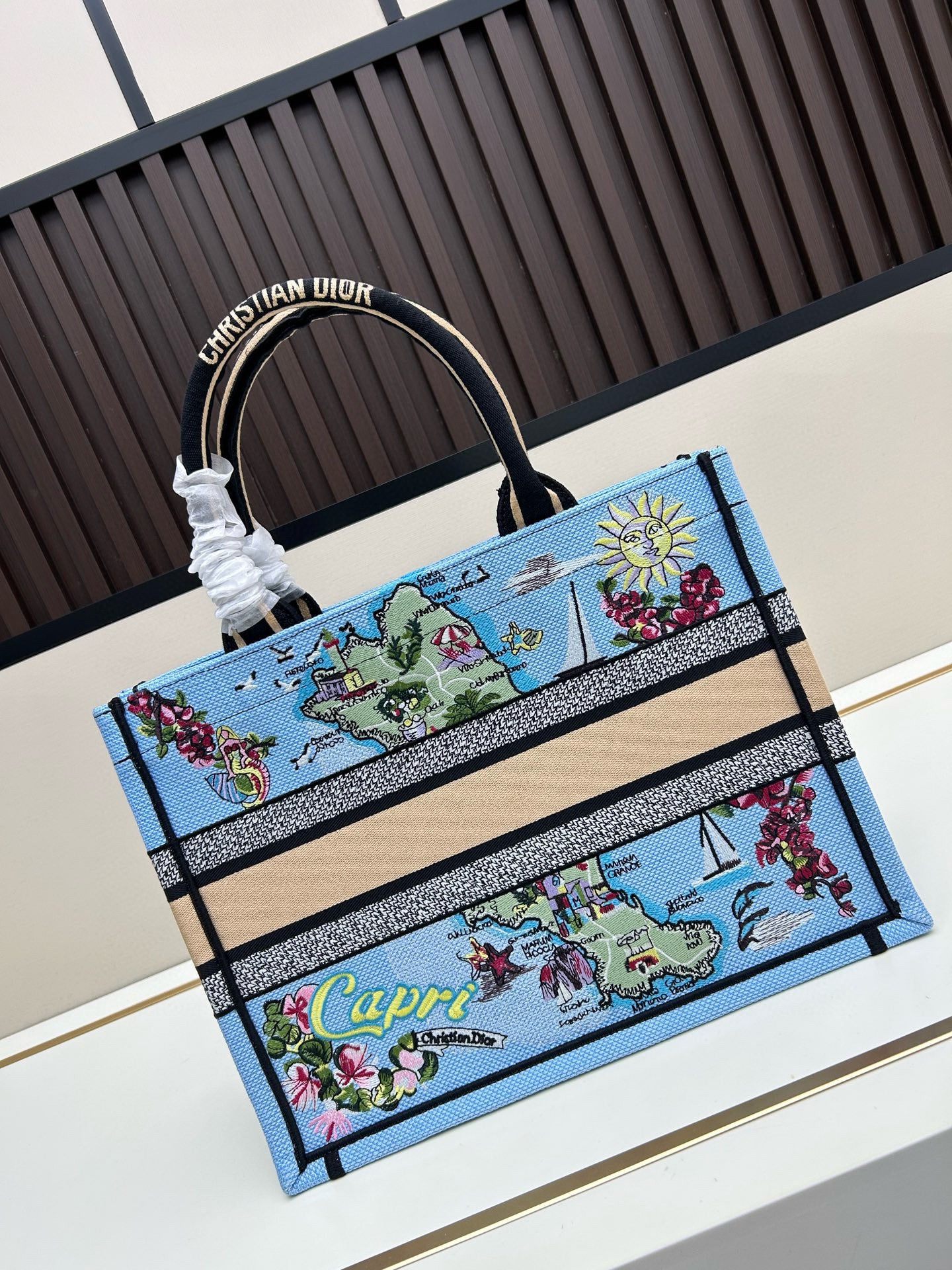 Dior Book Tote – Embroidered Luxury Tote Bag
